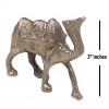 SP 6080X - 2 pcs Pewter Camel